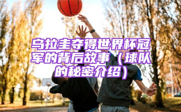 乌拉圭夺得世界杯冠军的背后故事[球队的秘密介绍]